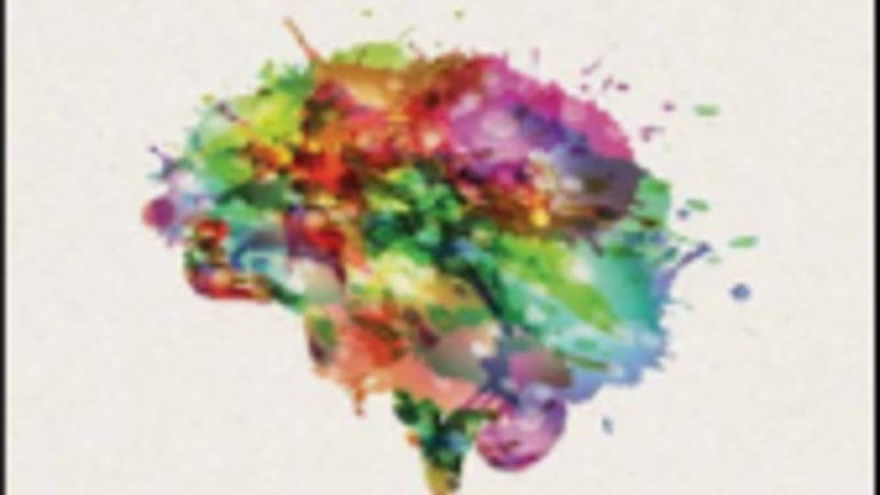 Cover of How Emotions Are Made.